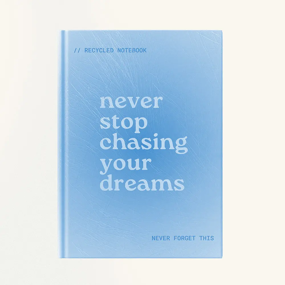 Dream Chaser